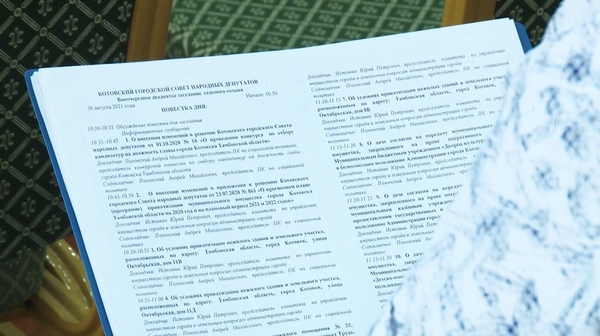 Выборы главы Котовска перенесены на сентябрь