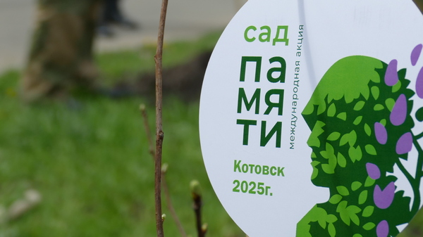 «Сад памяти» - вишневая аллея