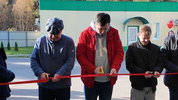 Новости  из мира красочных игрушек