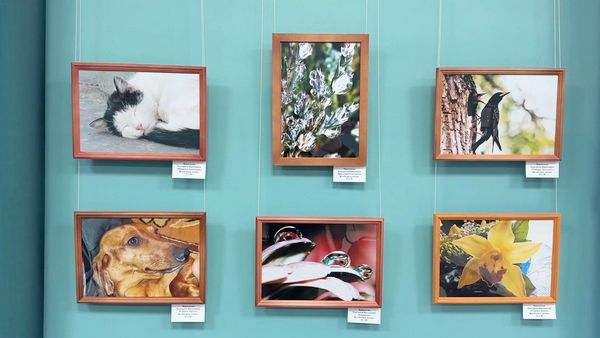 Уроки прекрасного