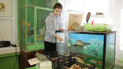 Первое государственное внешкольное учреждение в России: Биологическая станция юных натуралистов и  любителей природы